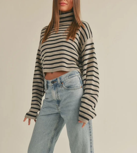 Turtle Neck Crop Sweater